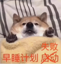 早睡计划失败
